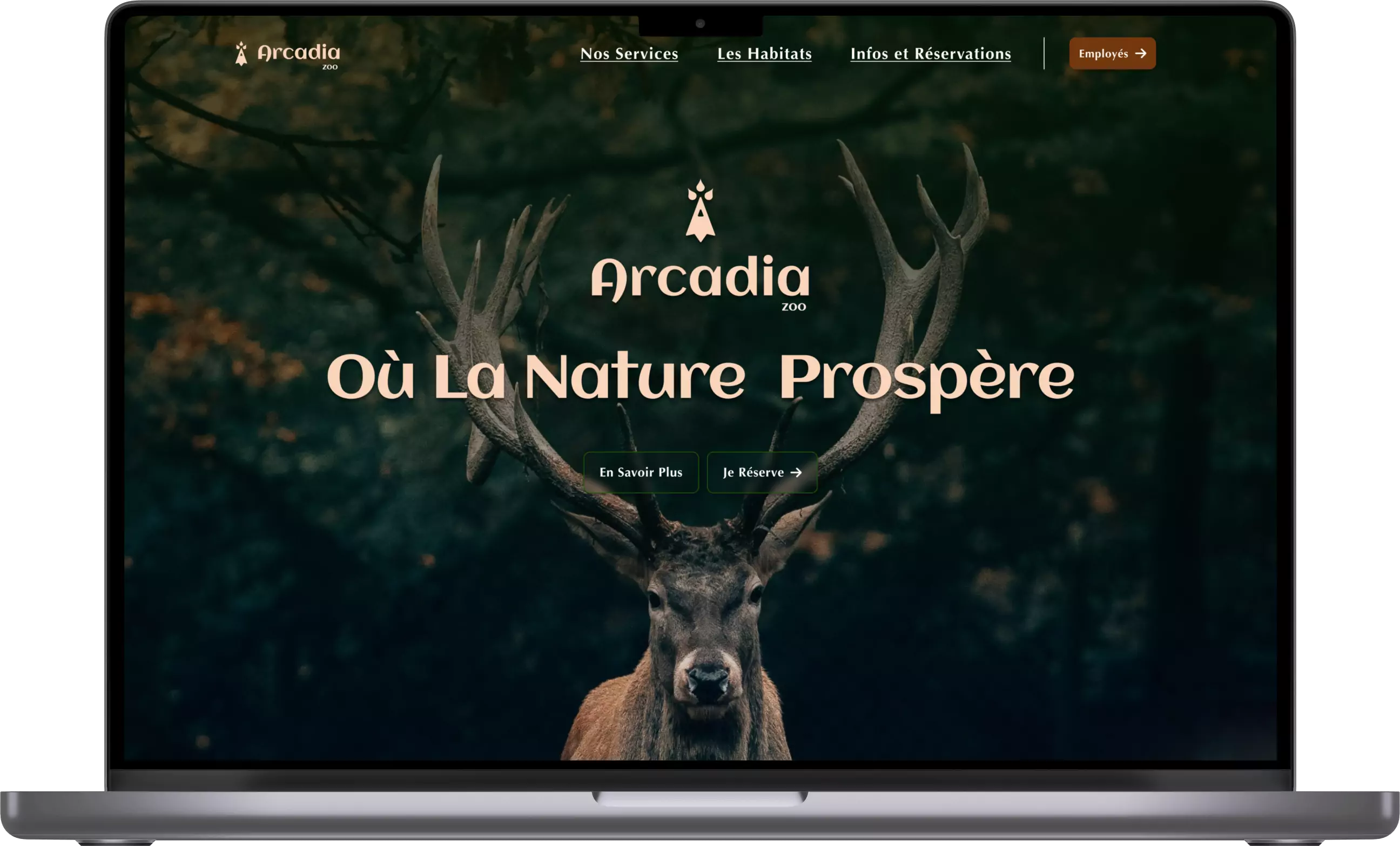 Arcadia Zoo Project Screenshot